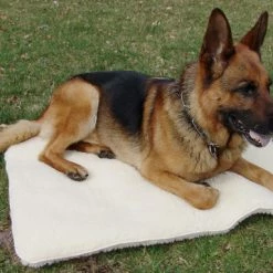 Agility Shop -Agility Shop 602110 2A full 13368.1638911422