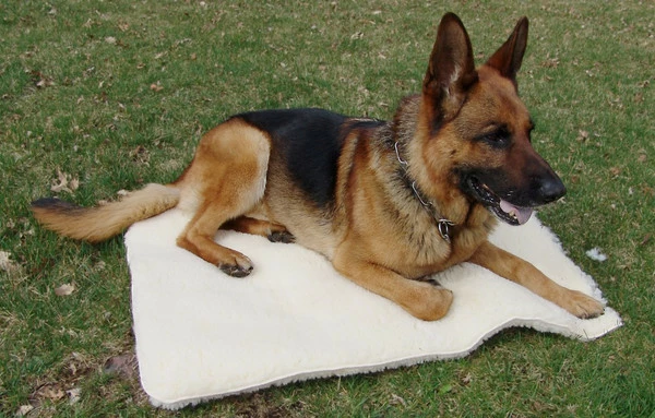 Hi-Loft Sherpa Mats And Rolls 2 Hi-Loft Sherpa Mats And Rolls - Image 2