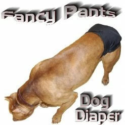 Set Of 3 Fancy Pants Diapers -Agility Shop 603003 6 full 60186.1638911357