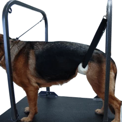Dog Grooming Under Belly Support -Agility Shop 606218 2 full 57127.1638911423