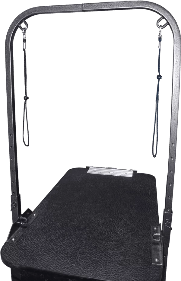 Deluxe Grooming Stand W/ Double Arm Overhead 2 Deluxe Grooming Stand W/ Double Arm Overhead - Image 2