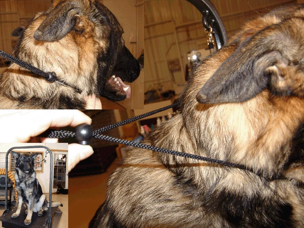 Deluxe Grooming Stand W/ Double Arm Overhead 5 Deluxe Grooming Stand W/ Double Arm Overhead - Image 5