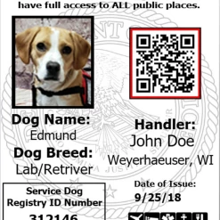 ActiveDogs Registered Service Dog Photo ID Card + Clip-On ID Carrier + FREE Digital ID Copy -Agility Shop 701208 1 full 04413.1656416743