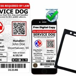 Agility Shop -Agility Shop 701209 5 63338.1656416834