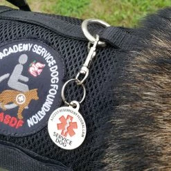 Service Dog Tag Medical Alert - ADA Access Required Chrome Tag -Agility Shop 701218 5 full 55822.1650884481