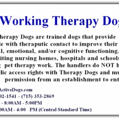 Premium Small Therapy Dog Starter Kit 13 Premium Small Therapy Dog Starter Kit -Agility Shop 701224TD 1 full 14608.1638911450