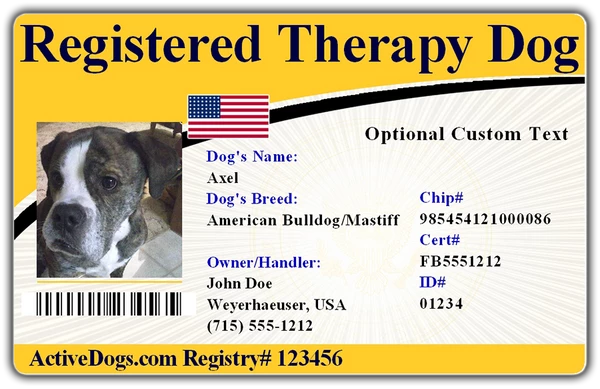 Standard Therapy Dog Vest Starter Kit 2 Standard Therapy Dog Vest Starter Kit - Image 2