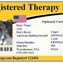 Registry Identification Card + Free Digital Copy -Agility Shop 701224TD full 88278.1638911463