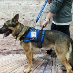 Clip-On Service Dog ID Pouch -Agility Shop 701228 20 full 82731.1638911516