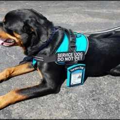 Clip-On Service Dog ID Pouch -Agility Shop 701228 7 full 07286.1638911516