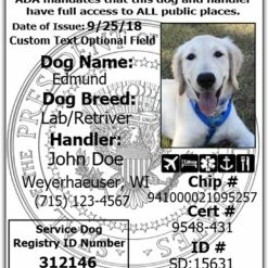 Service Dog And Service Dog Handler ID -Agility Shop 701229 7 full 11640.1638911499