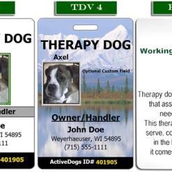 Vertical Identification Card + Free Digital Copy -Agility Shop 701240TDV 1 full 39141.1638911418