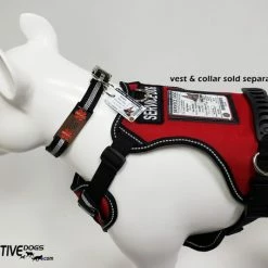 ActiveDogs Registered Service Dog ID Card + 3 Key Tag Cards + Clip-On Carrier + Free Digital Copy -Agility Shop 701242 4 full 18125.1638911516