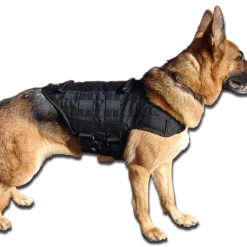 CaliberDog K9 Tactical MOLLE Vest -Agility Shop 702900 6 full 37159.1665659124