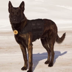 CaliberDog K9 Tactical MOLLE Vest -Agility Shop 702900 full 27211.1674741259
