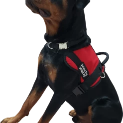 Form Fitted Service Dog Active Cut Vest -Agility Shop 70301 105 full 62687.1644234044