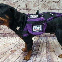 Form Fitted Service Dog Active Cut Vest -Agility Shop 70301 108 full 88018.1644234044
