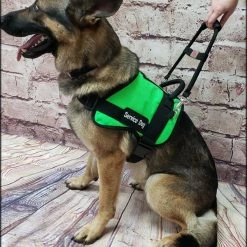 Form Fitted Service Dog Active Cut Vest -Agility Shop 70301 111 full 53912.1644234044