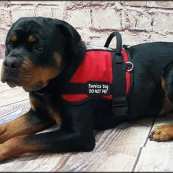 Form Fitted Service Dog Active Cut Vest -Agility Shop 70301 115 full 55266.1644234044