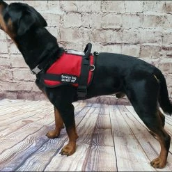 Form Fitted Service Dog Active Cut Vest -Agility Shop 70301 119 full 32437.1644234044