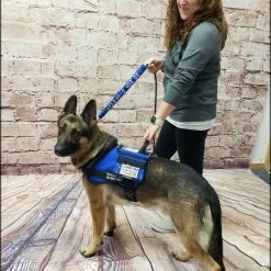 Form Fitted Service Dog Active Cut Vest -Agility Shop 70301 121 full 91181.1644234044