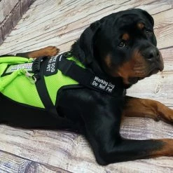 Spacer Mesh Service Dog Cushion Comfort Harness Vest -Agility Shop 703100 14 full 08084.1638911478