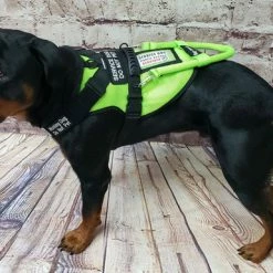 Spacer Mesh Service Dog Cushion Comfort Harness Vest -Agility Shop 703100 16 full 08530.1638911483