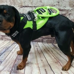 Spacer Mesh Service Dog Cushion Comfort Harness Vest -Agility Shop 703100 18 full 23706.1638911488