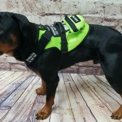 Spacer Mesh Service Dog Cushion Comfort Harness Vest -Agility Shop 703100 5 full 70157.1638911486