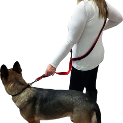 Spacer Mesh Service Dog Hands Free Leash -Agility Shop 703101 5 full 79451.1638911499