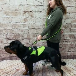 Spacer Mesh Service Dog Hands Free Leash -Agility Shop 703101 7 full 94726.1638911502