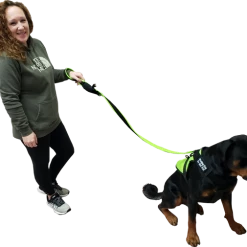 Agility Shop -Agility Shop 703102 2 full 68286.1638911527