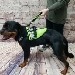 Agility Shop -Agility Shop 703103 102 full 46553.1638911525