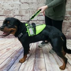 Spacer Mesh Clip-On Service Dog Zippered ID Pouch -Agility Shop 703104 4 full 45828.1638911528