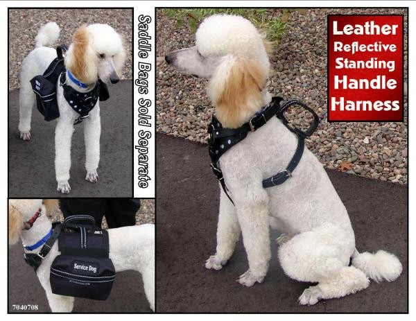 Leather Reflective Standing Handle Harness 2 Leather Reflective Standing Handle Harness - Image 2