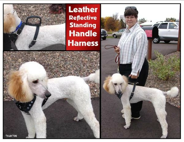 Leather Reflective Standing Handle Harness 3 Leather Reflective Standing Handle Harness - Image 3