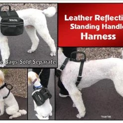 Leather Reflective Standing Handle Harness 7 Leather Reflective Standing Handle Harness -Agility Shop 7040708AD2 02218.1638911353