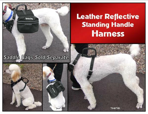 Leather Reflective Standing Handle Harness 4 Leather Reflective Standing Handle Harness - Image 4