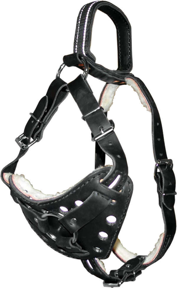 Leather Reflective Standing Handle Harness 1 Leather Reflective Standing Handle Harness