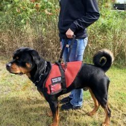 Rigid Clip-On Service Dog Bridge Handle W/Chrome Service Dog ID Band - 12" -Agility Shop 704501 4 full 36129.1638911496