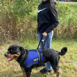 Rigid Clip-On Service Dog Bridge Handle W/Chrome Service Dog ID Band - 12" -Agility Shop 704501 9 full 66369.1638911504