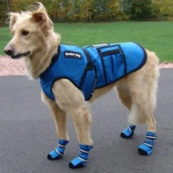 Cold Weather Service Dog Coat -Agility Shop 707327 10 full 60955.1638911373