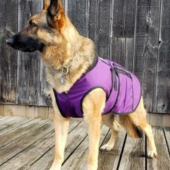 Cold Weather Service Dog Coat -Agility Shop 707327 12 full 96735.1638911387