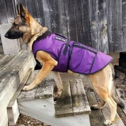 Cold Weather Service Dog Coat -Agility Shop 707327 8 full 05505.1638911379