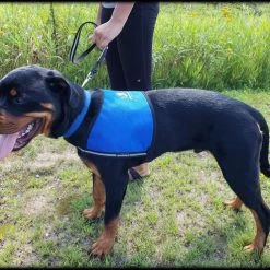 Custom Logo/Text Service Dog Starter Cape -Agility Shop 707510 5 full 55013.1644616721