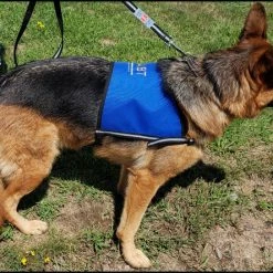 Custom Logo/Text Service Dog Starter Cape -Agility Shop 707510 9 full 50317.1644616721