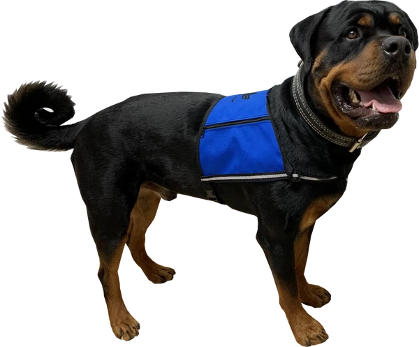 Custom Logo/Text Service Dog Starter Cape W/ Zipper Pockets 2 Custom Logo/Text Service Dog Starter Cape W/ Zipper Pockets - Image 2