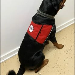 Custom Logo/Text Service Dog Starter Cape W/ Zipper Pockets 11 Custom Logo/Text Service Dog Starter Cape W/ Zipper Pockets -Agility Shop 707511 3 full 92989.1638911539