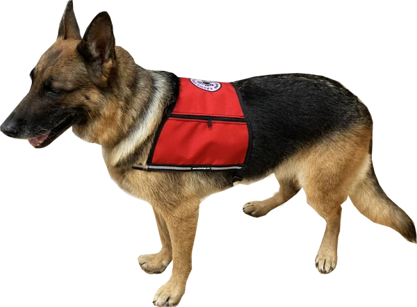 Custom Logo/Text Service Dog Starter Cape W/ Zipper Pockets 7 Custom Logo/Text Service Dog Starter Cape W/ Zipper Pockets - Image 7