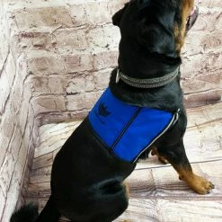 Custom Logo/Text Service Dog Starter Cape W/ Zipper Pockets 12 Custom Logo/Text Service Dog Starter Cape W/ Zipper Pockets -Agility Shop 707511 5 full 35365.1644616429